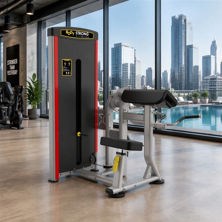 Dezhou Bodybuilding Fitness Biceps Curl Gym Machine