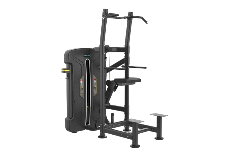 Factory Direct Supply Good Price Assist Dip Chin Gym Machine