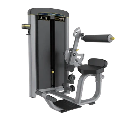 Muscle Training Gym Machine Back Extension