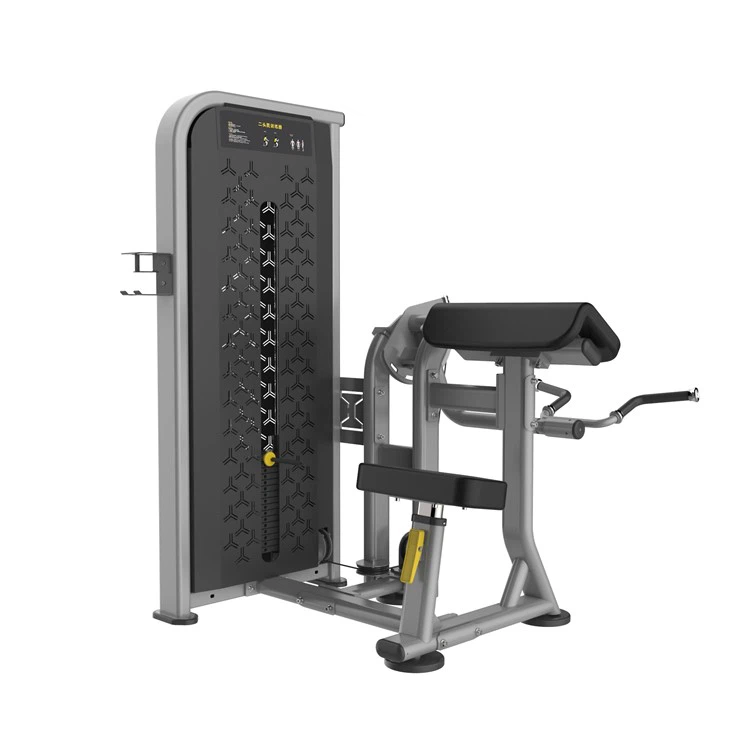High Quality Commercial Gym equipment Biceps Curl Machine