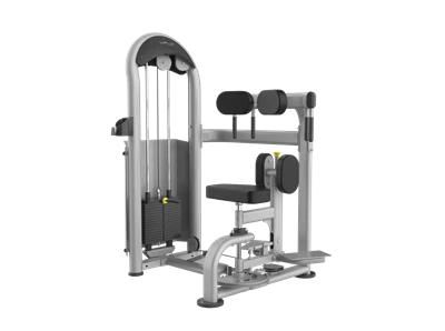 Best Quality Gym Equipment Torso Rotation