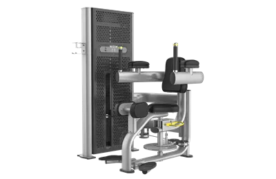 China Commercial Gym Equipment ​​​​Rotary Torso Machine