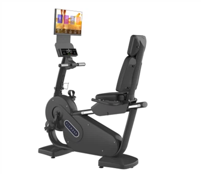 Screen Mirroring Recumbent Bike Fitness Machine