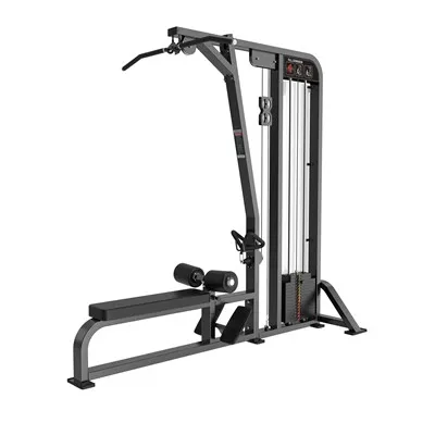 Gym Using Lat Pull Down / Low Row
