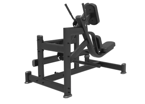 Pendulum Kick Back Gym Machine