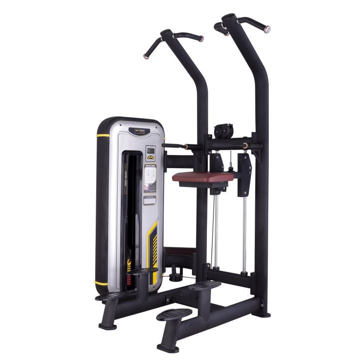 Body Building Strength Equipment Gym Equipment Assist Dip Chin