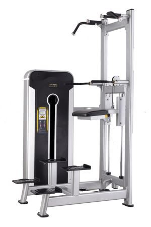 TNT-008 Good Price Professional Fitness Equipment Assist Dip Chin