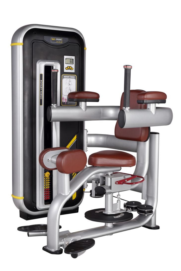 Strength Equipment Of Torso Rotation Gym Equipment
